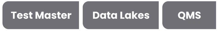 Leap Consulting Group, Test Master Data Lakes, QMS